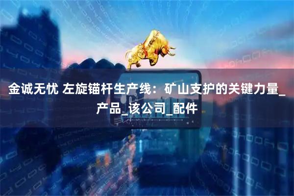 金诚无忧 左旋锚杆生产线：矿山支护的关键力量_产品_该公司_配件